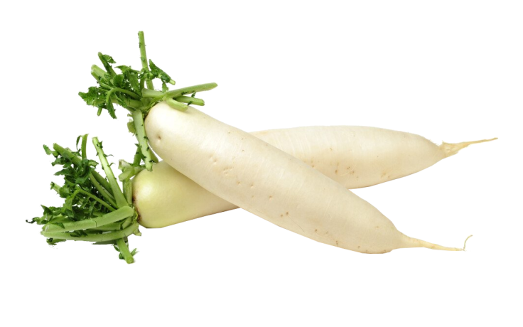 Rettich per stuk