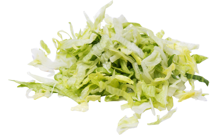 IJsbergsla gesneden per KG