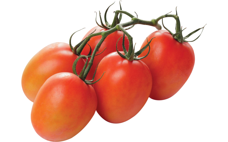 Tomaten roma mini tros per KG