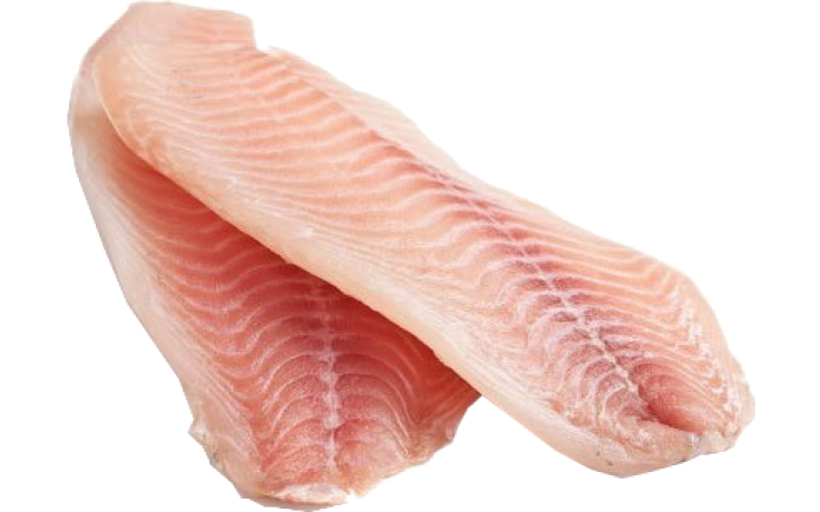 Tilapia filet 140-200gr vacuum per KG