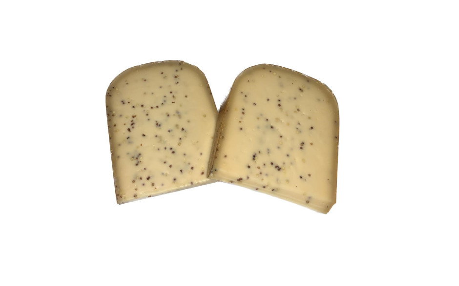 Hanze kaas mosterd vacuüm verpakt 1 x 320 gr