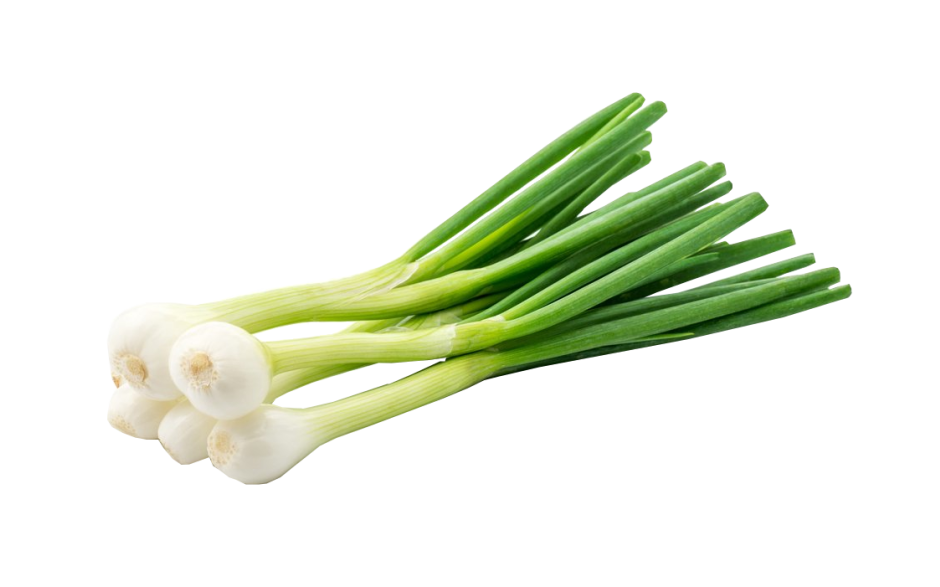 Bosuien / lente uien per bos