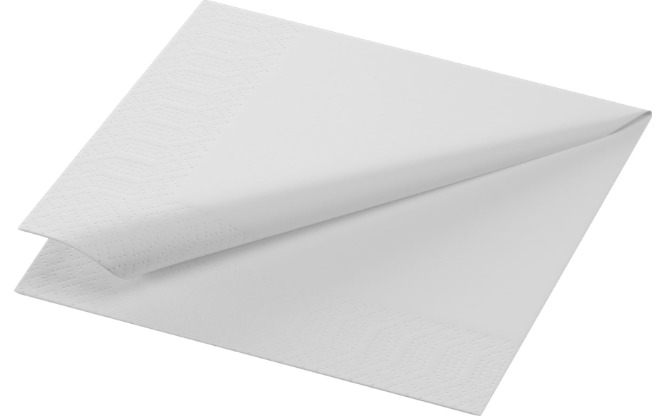 Duni servet wit 1 laags 24x24cm 1 x 500 ST